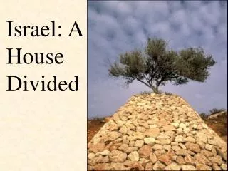 Israel: A House Divided