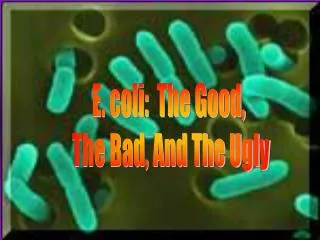 E. coli: The Good, The Bad, And The Ugly