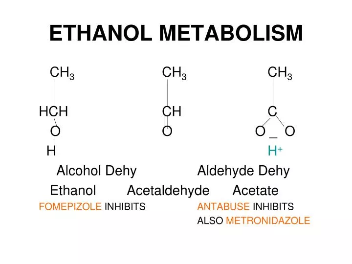 ethanol metabolism