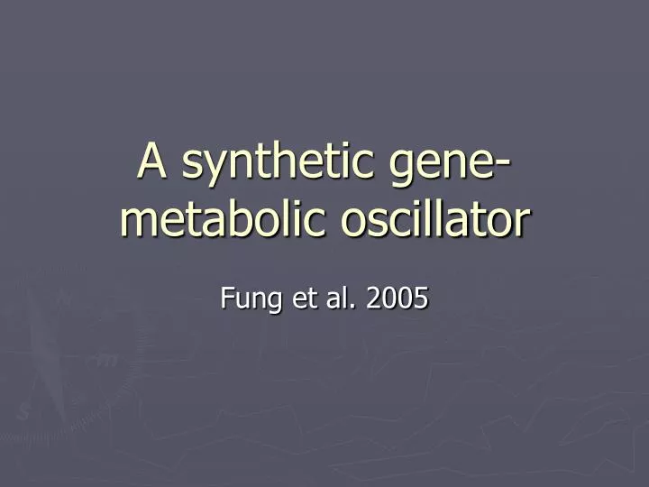 a synthetic gene metabolic oscillator