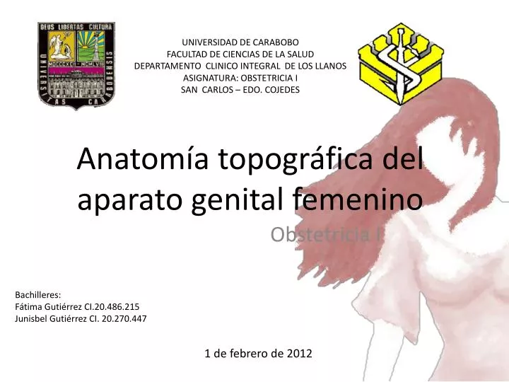 anatom a topogr fica del aparato genital femenino