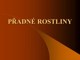 p adn rostliny