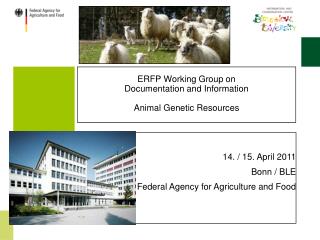 ERFP Working Group on Documentation and Information Animal Genetic Resources