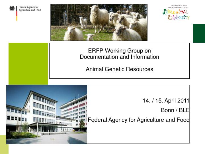 erfp working group on documentation and information animal genetic resources