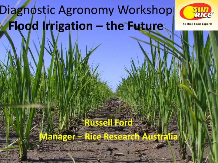 diagnostic agronomy workshop flood irrigation the future