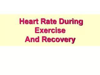 Heart Rate During Exercise And Recovery