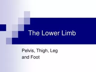 The Lower Limb