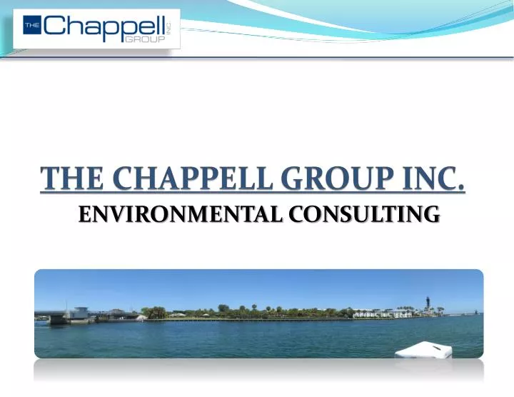 the chappell group inc