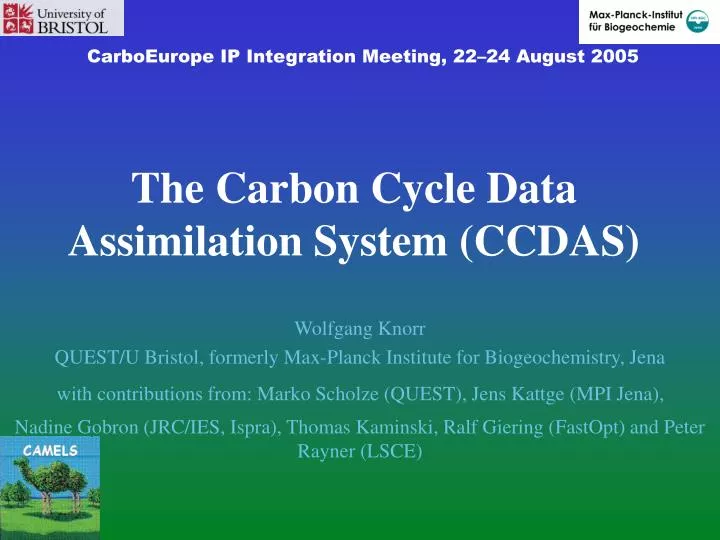 the carbon cycle data assimilation system ccdas