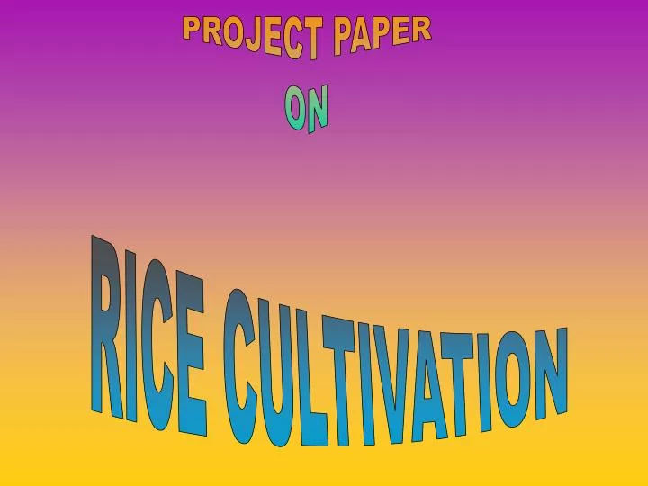 Pink rice paper Free Photo Download