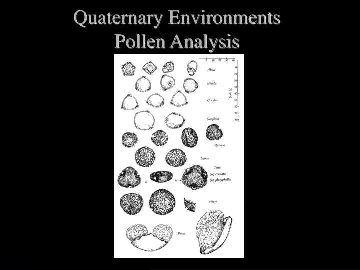 quaternary environments pollen analysis