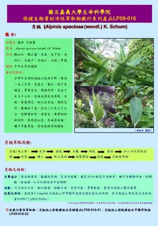 國立嘉義大學生命科學院 保健生物資材活性萃取物銀行系列產品 LF09-016