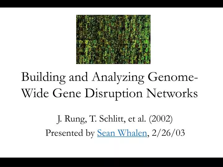 building and analyzing genome wide gene disruption networks