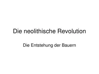 die neolithische revolution