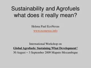 Sustainability and Agrofuels what does it really mean?