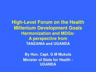 High-Level Forum on the Health Millenium Development Goals Harmonization and MDGs: A perspective from