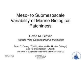 Meso- to Submesoscale Variability of Marine Biological Patchiness