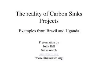 The reality of Carbon Sinks Projects