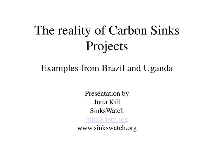 the reality of carbon sinks projects