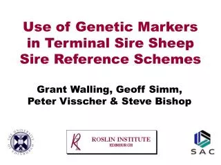 Use of Genetic Markers in Terminal Sire Sheep Sire Reference Schemes