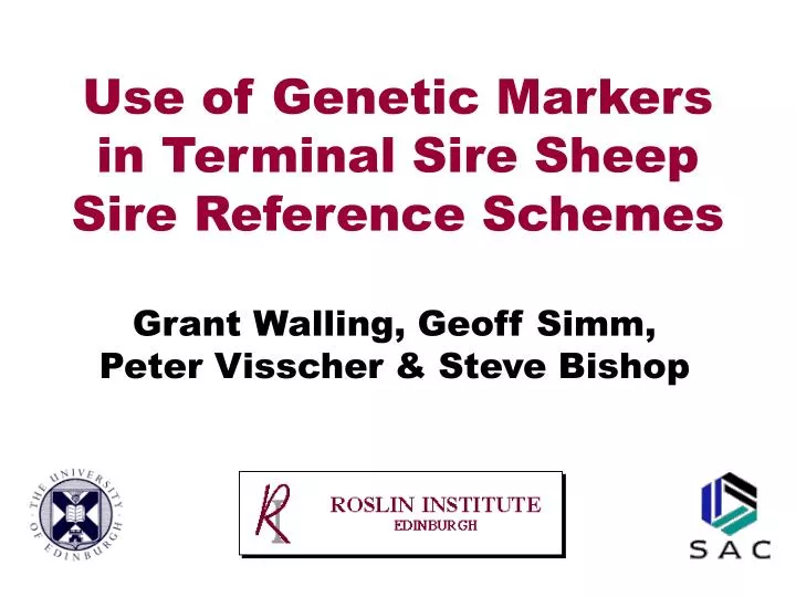 use of genetic markers in terminal sire sheep sire reference schemes