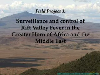 Field Project 3: Surveillance and control of Rift Valley Fever in the Greater Horn of Africa and the Middle East