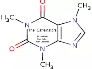 The Caffeinators Evan Gates Max Salley Juan Lasheras