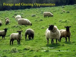 Forage and Grazing Opportunities