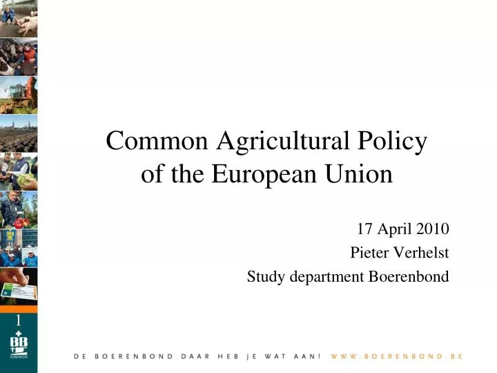 common agricultural policy of the european union