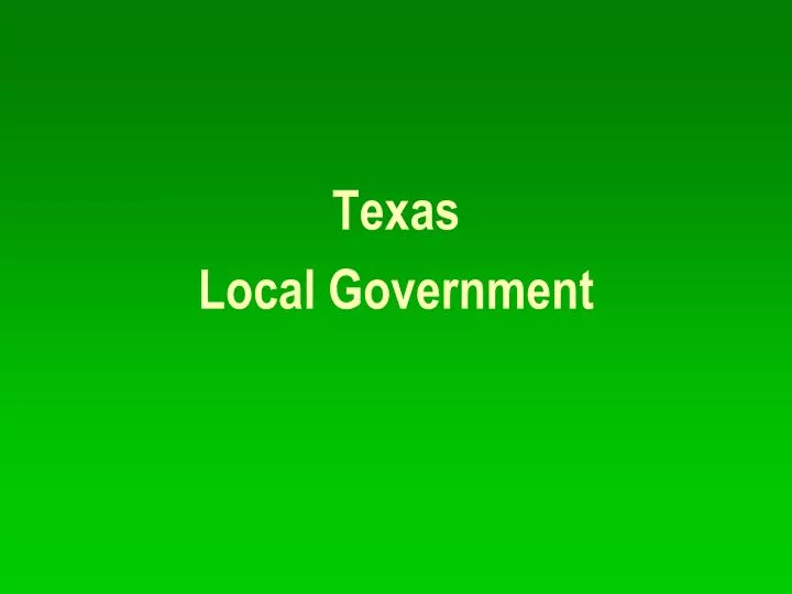 texas local government