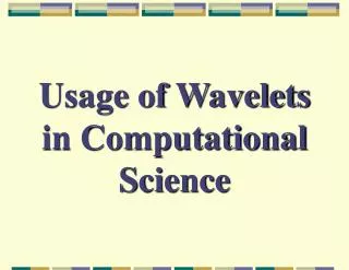 Usage of Wavelets in Computational Science