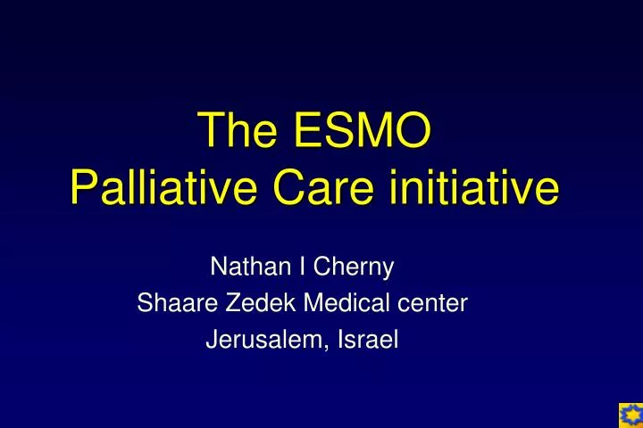 the esmo palliative care initiative