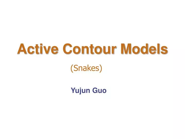 active contour models