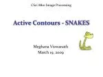 Active Contours - SNAKES - slide 1