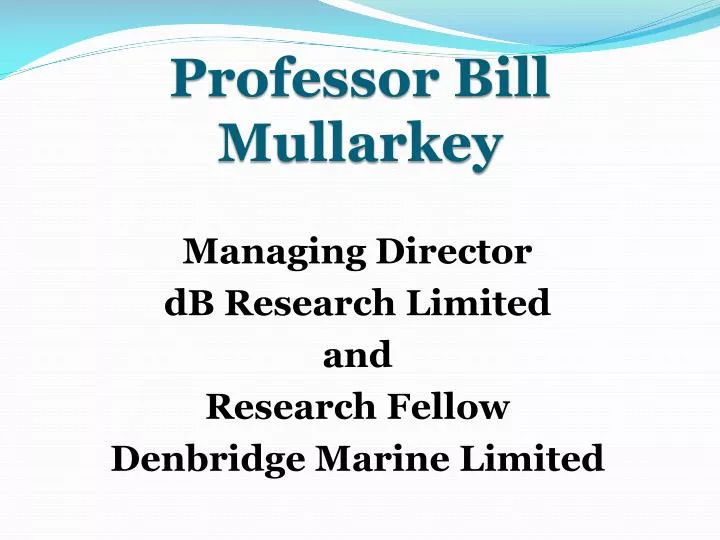professor bill mullarkey