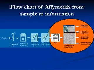 Flow chart of Affymetrix from sample to information