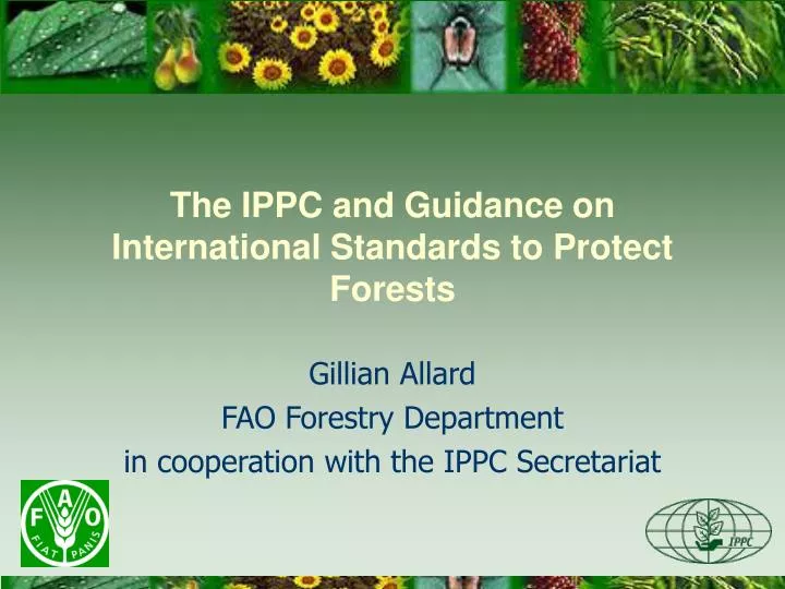 the ippc and guidance on international standards to protect forests