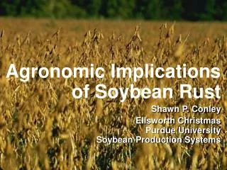Agronomic Implications of Soybean Rust Shawn P. Conley Ellsworth Christmas Purdue University Soybean Production Systems