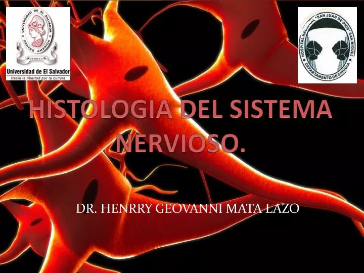 histologia del sistema nervioso