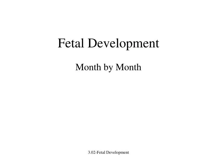 fetal development