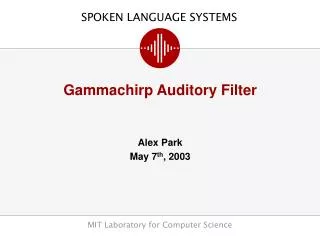 Gammachirp Auditory Filter