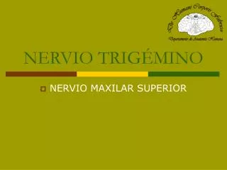 NERVIO TRIGÉMINO