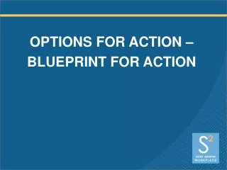 OPTIONS FOR ACTION – BLUEPRINT FOR ACTION