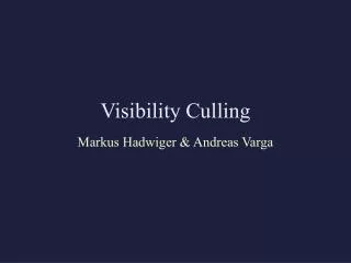 Visibility Culling