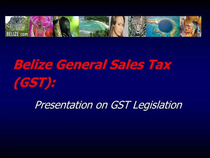 belize general sales tax gst