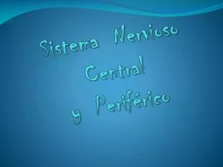 sistema nervioso central y perif rico