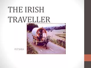 THE IRISH TRAVELLER