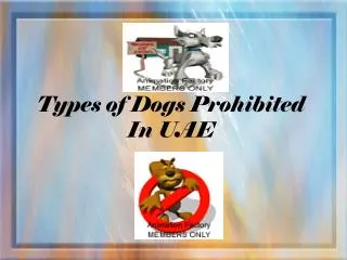 Types of Dogs Prohibited In UAE