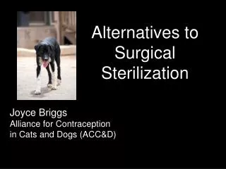 Alternatives to Surgical Sterilization