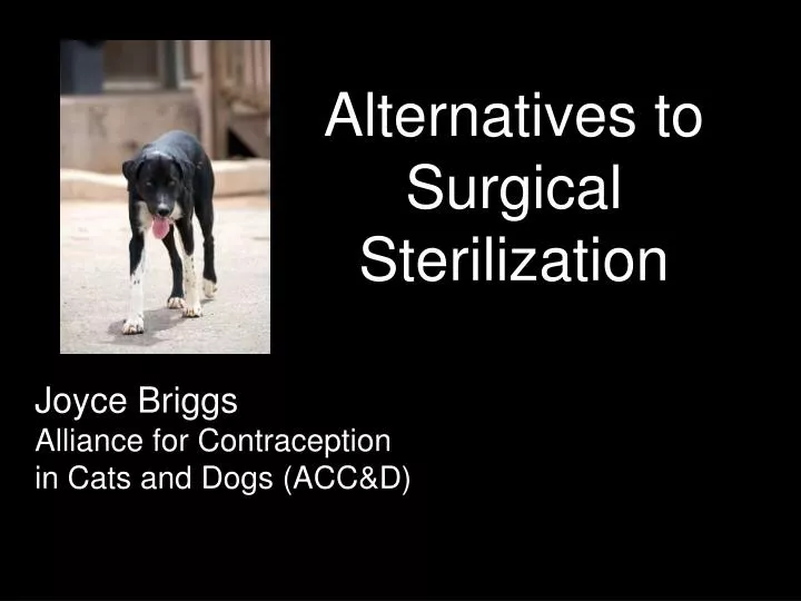 alternatives to surgical sterilization